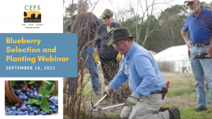 Blueberry webinar flyer