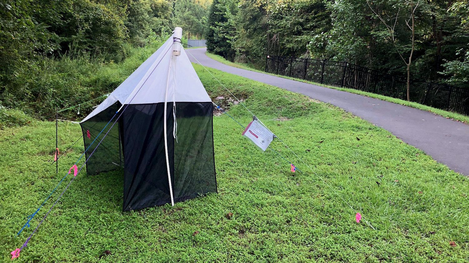 Photo of a malaise trap next to the greenway