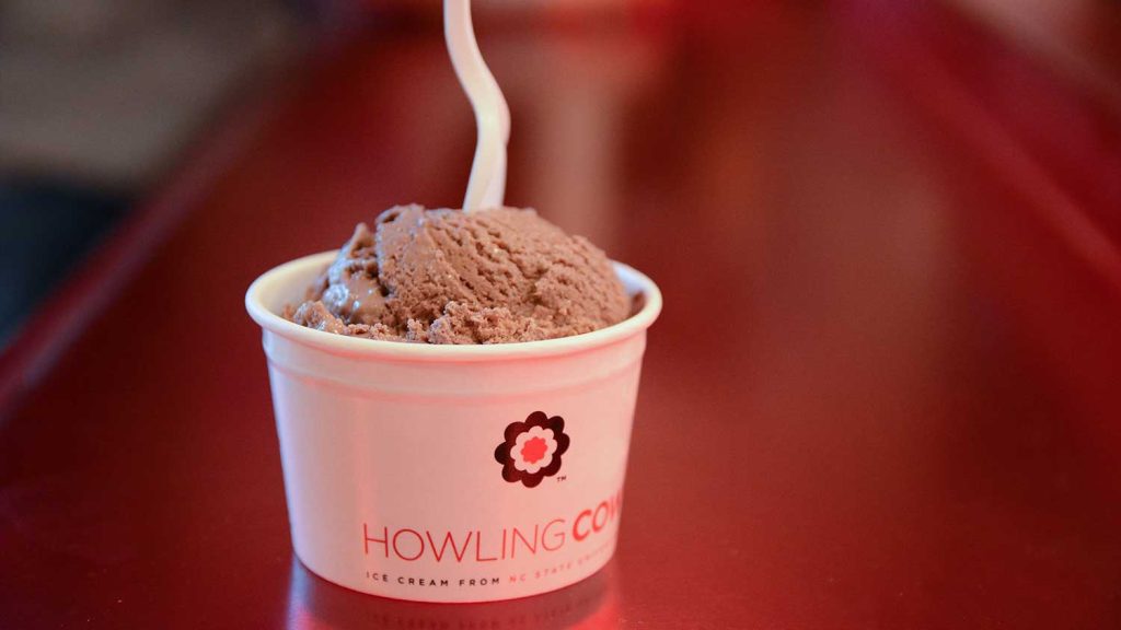 Chocolate ice cream sits in an iconic Howling Cow mug waiting to be enjoyed.