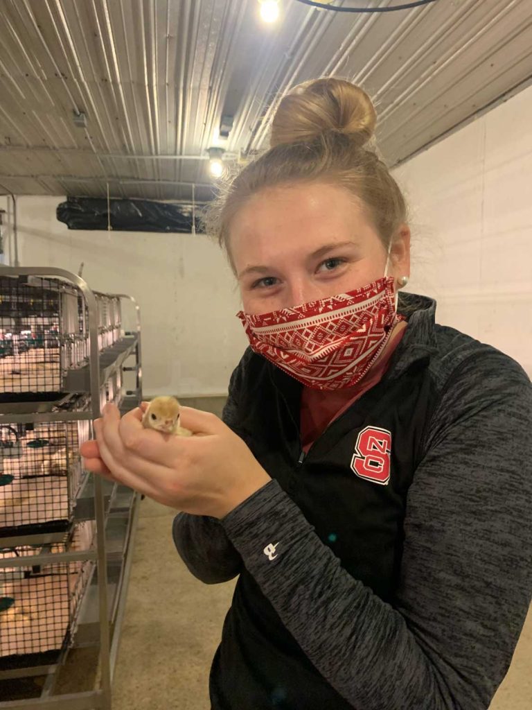 Sophie Chance holds a poult, or baby turkey.