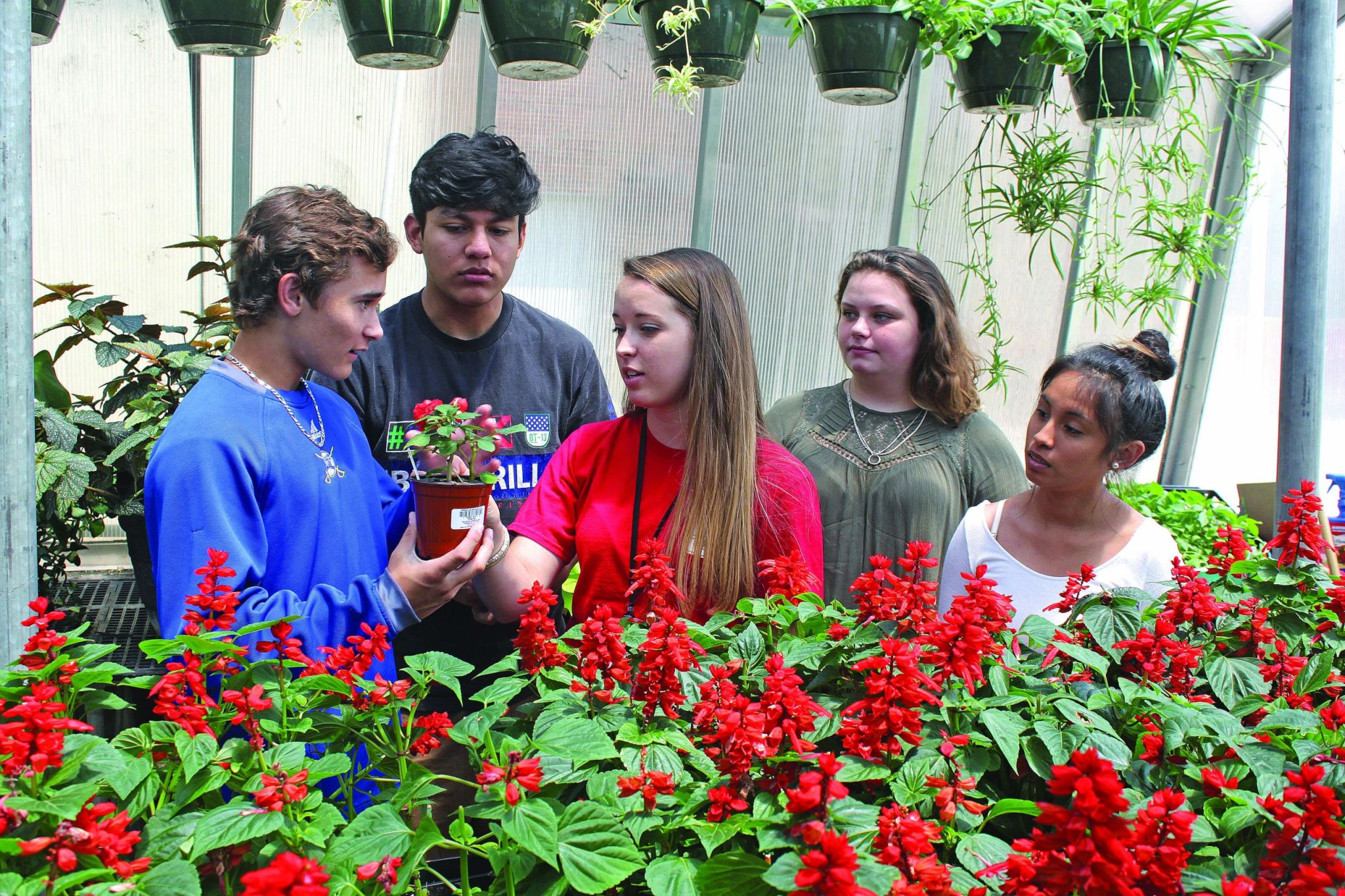 Students in a greenhouse studying flowers