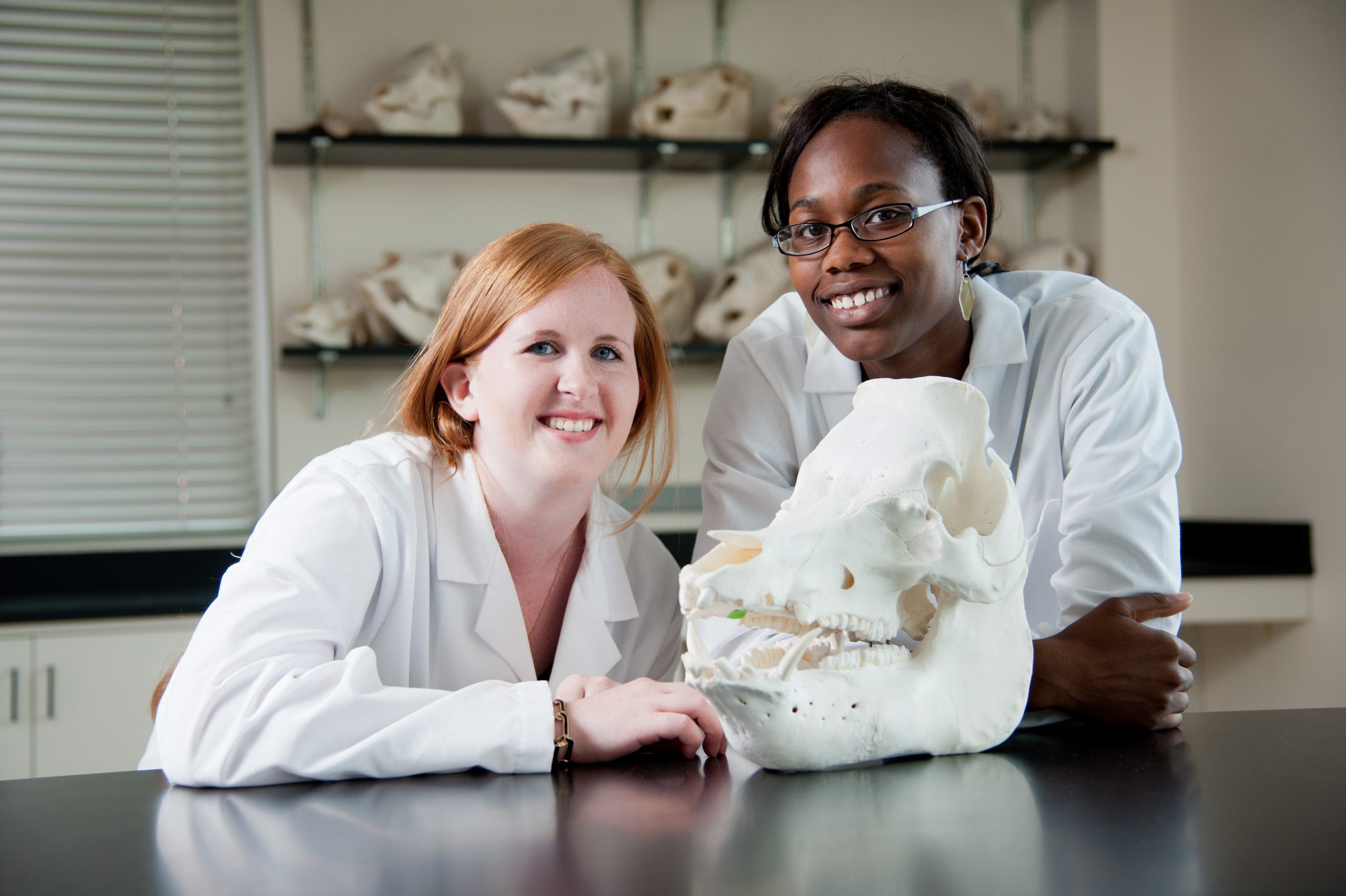 Two students pose with a cow skull.