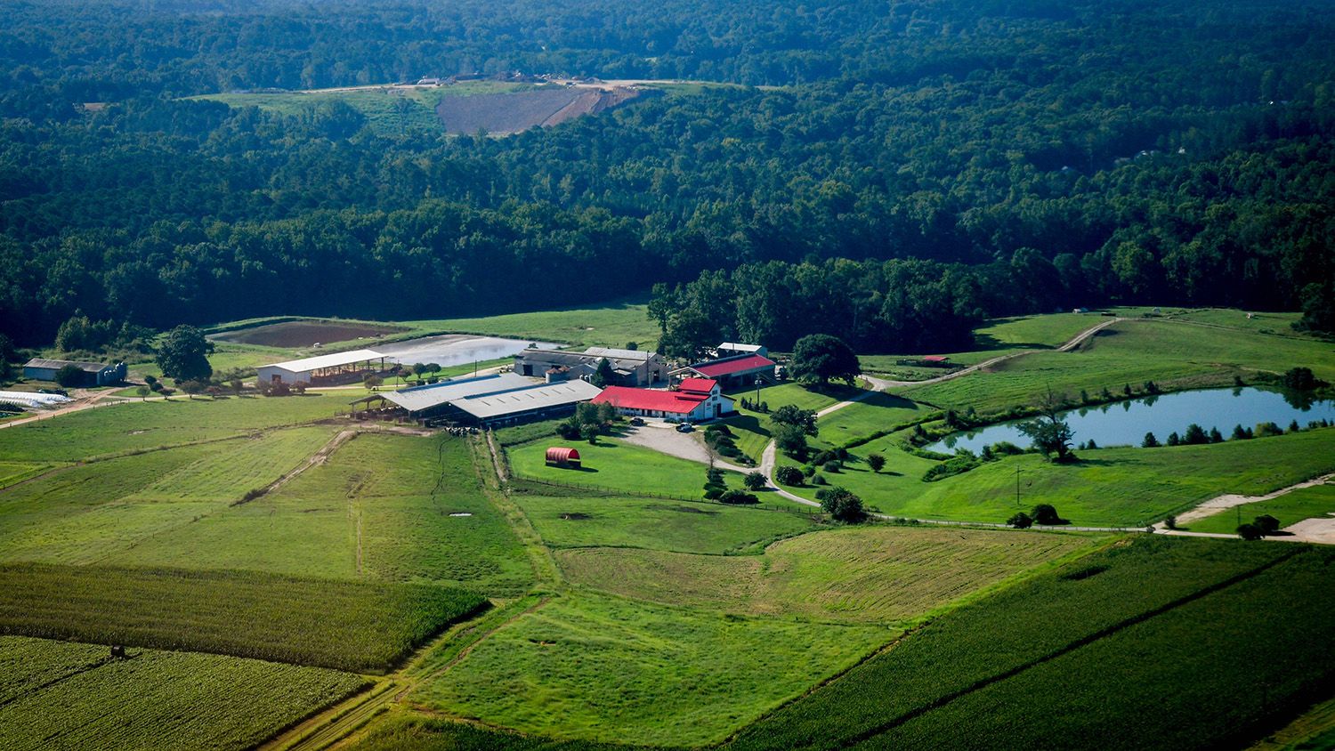 drone photo of farm fields, facilities, and a pond