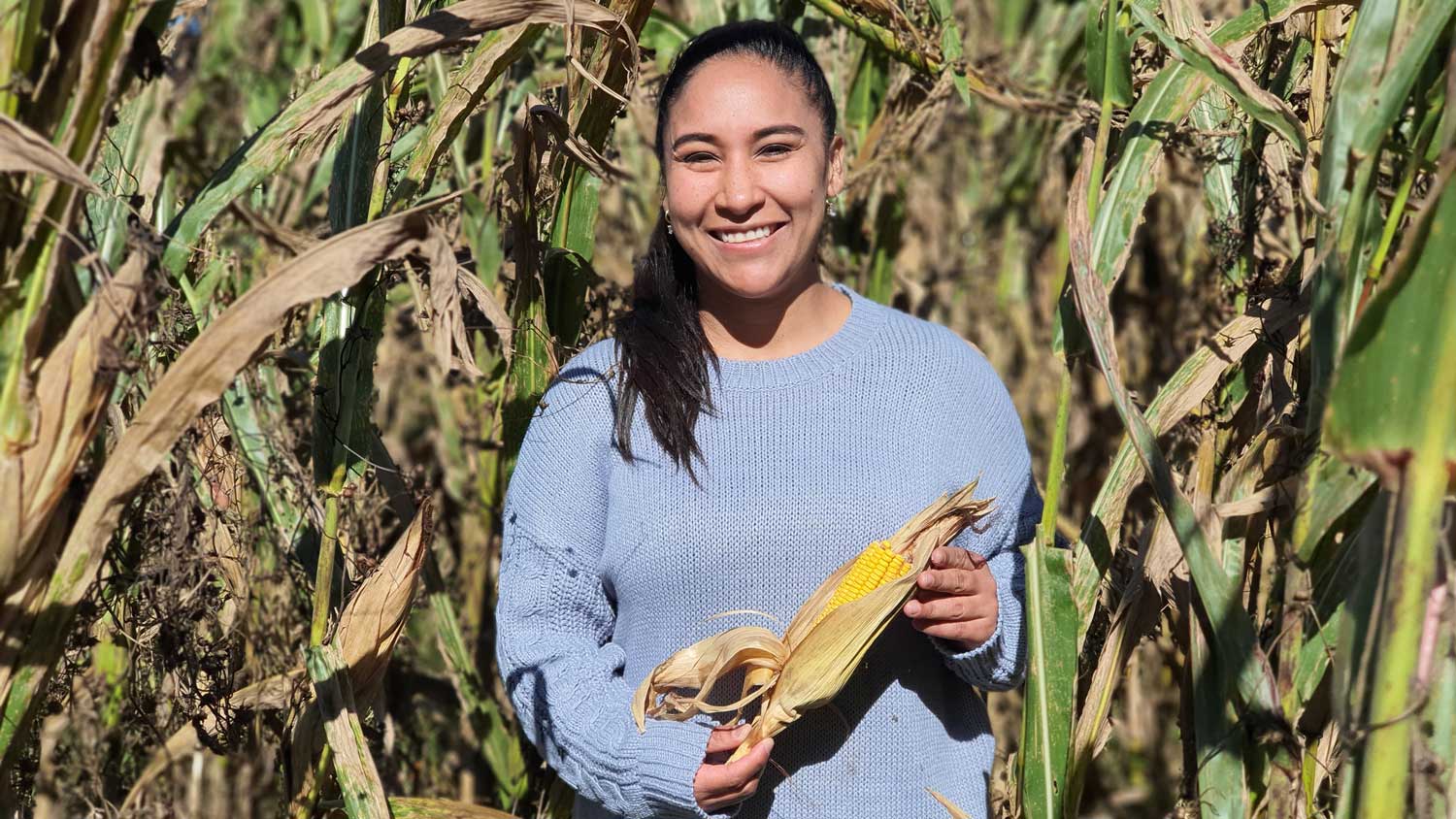 Daniela Jones holding and ear of corn in a corn field