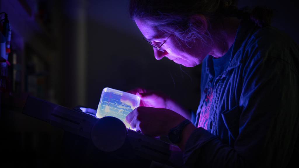 a woman scientist in a lab research space