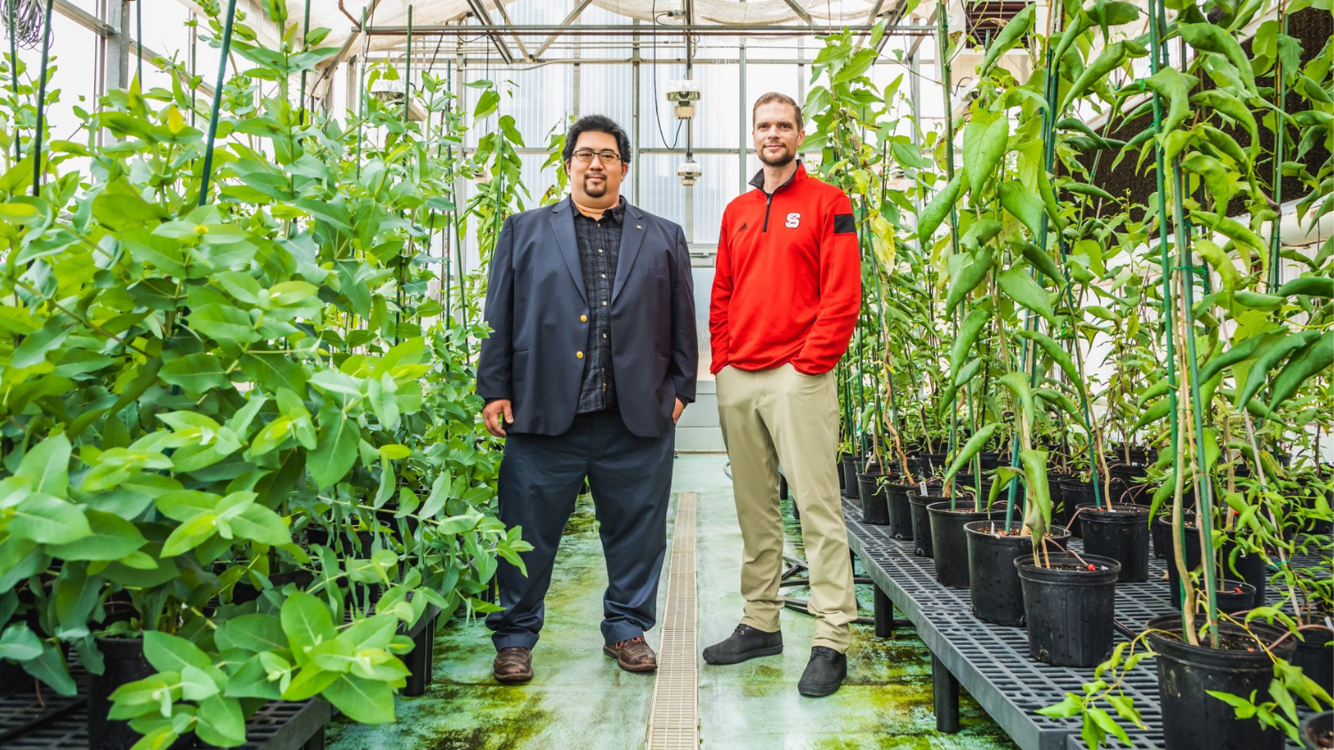 two men surrounded by plants in greenhouse