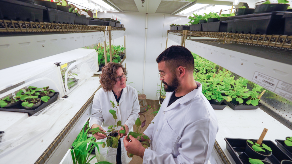 two researchers in a plant research lab