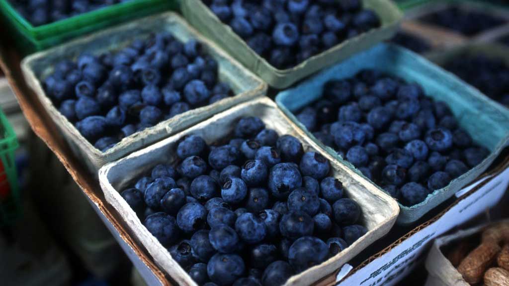 NC State Extension blueberries