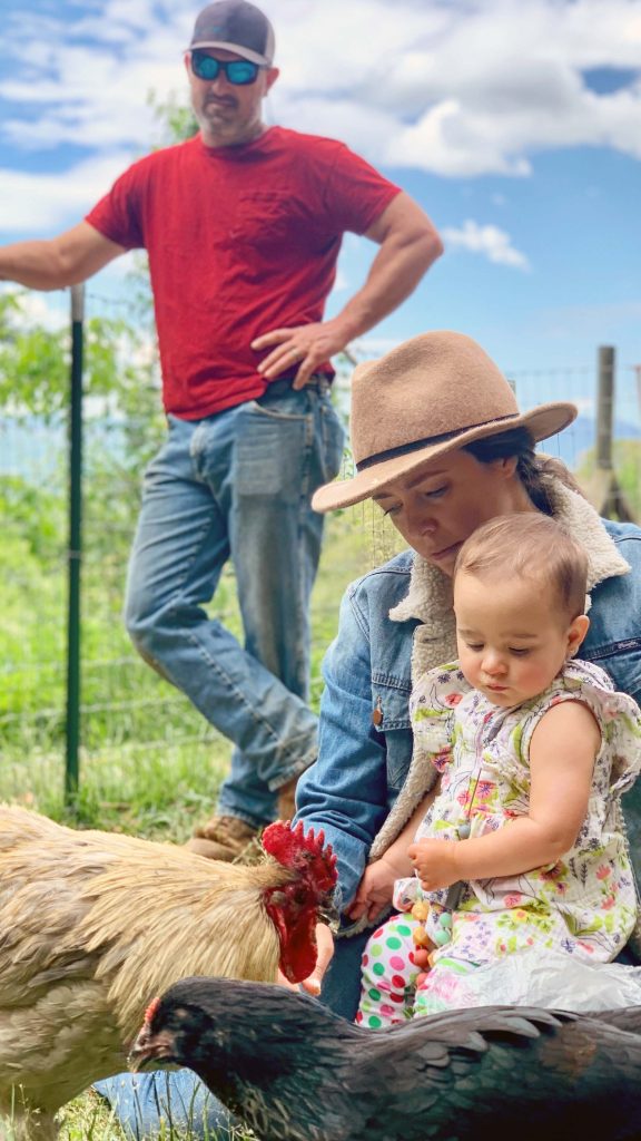 Vacationer Supported Agriculture (VSA) connects farmers to tourist through NC State Extension agitourism.