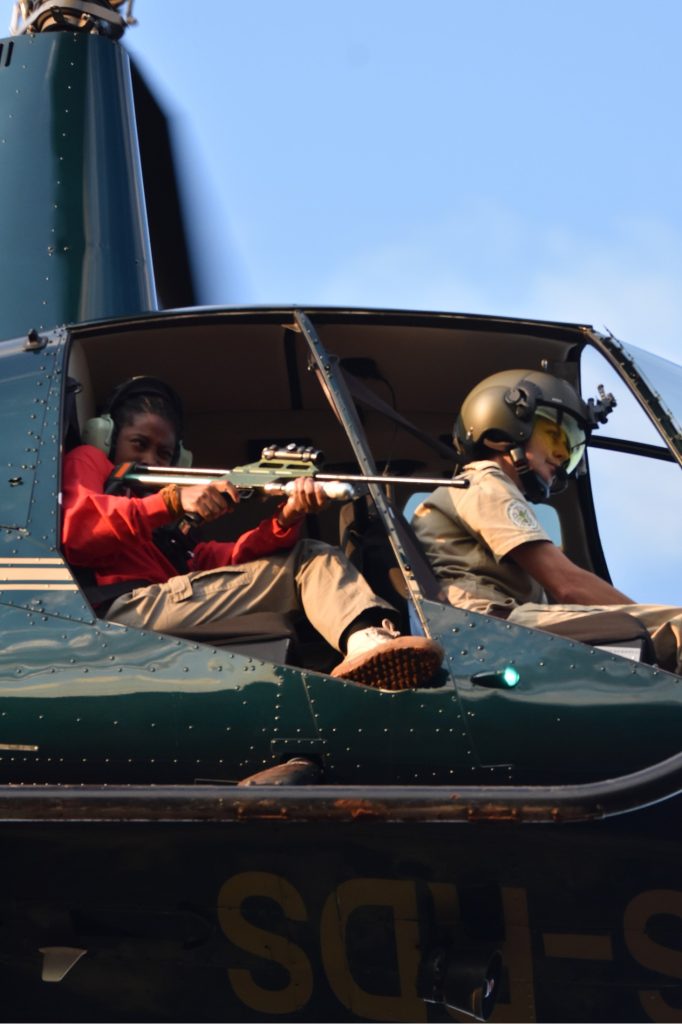 Young woman in a helicopter with a dart gun