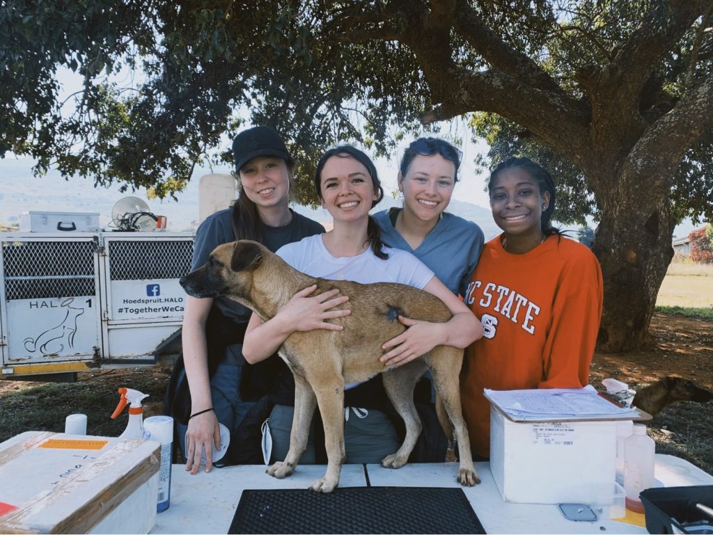 A group of female students pose with a dog