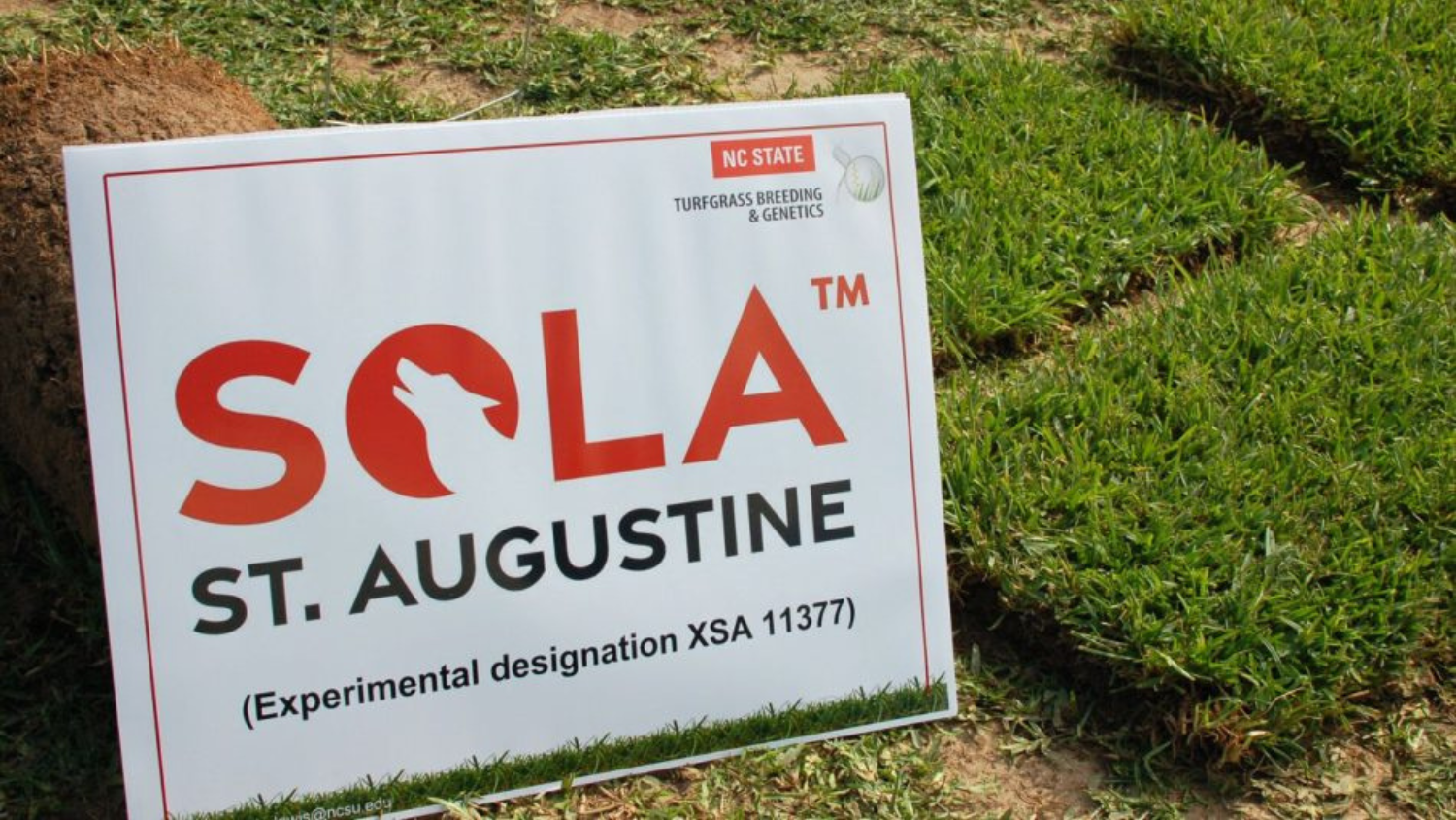 a Sola sign in turfgrass