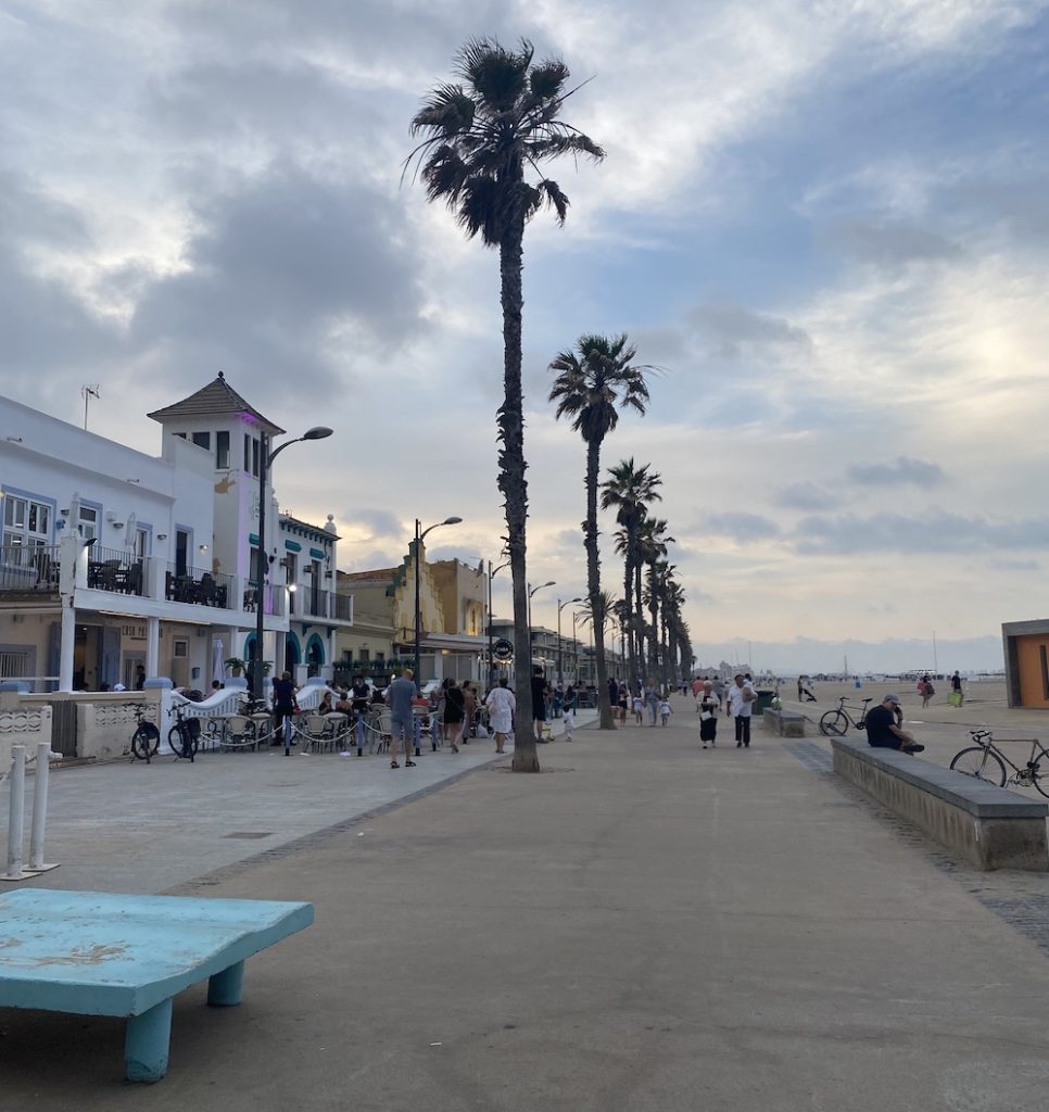 a coastal area of Spain with palm trees and shops