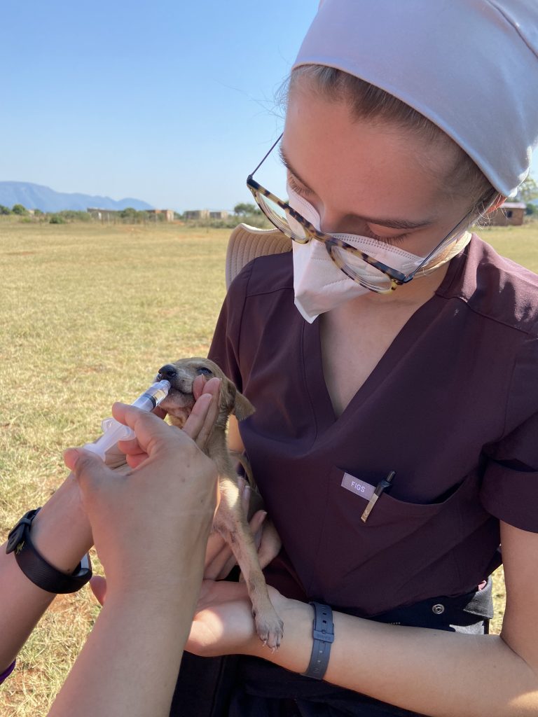 Female student syringe hydrates puppy