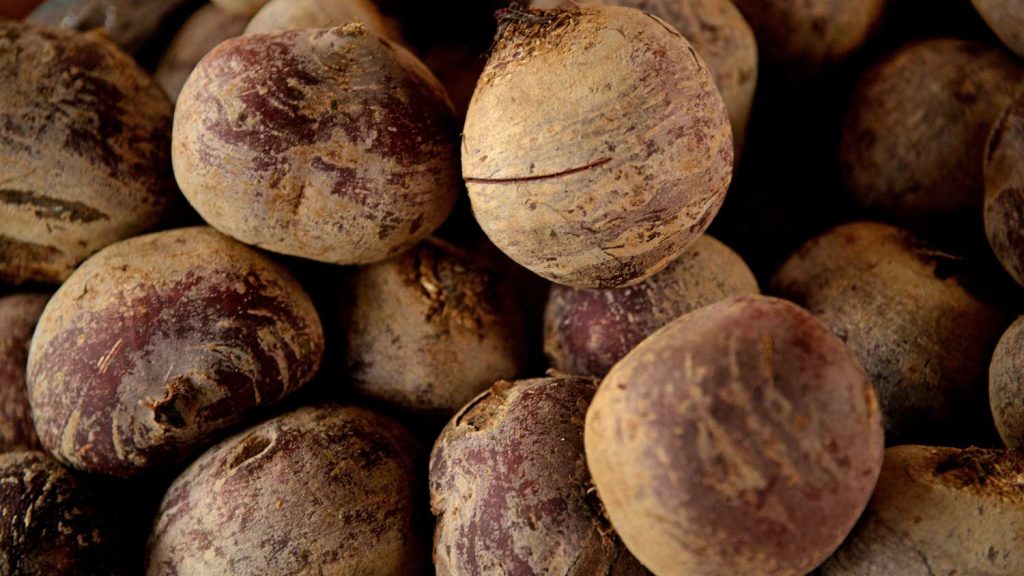 beets covered in dirt dust