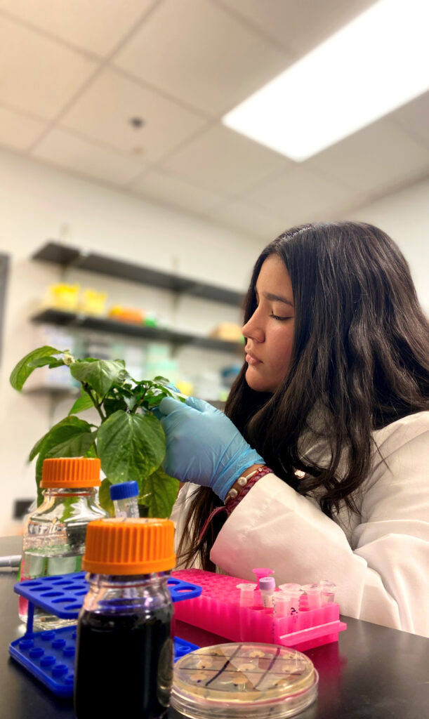 Young woman examining plants in a lab