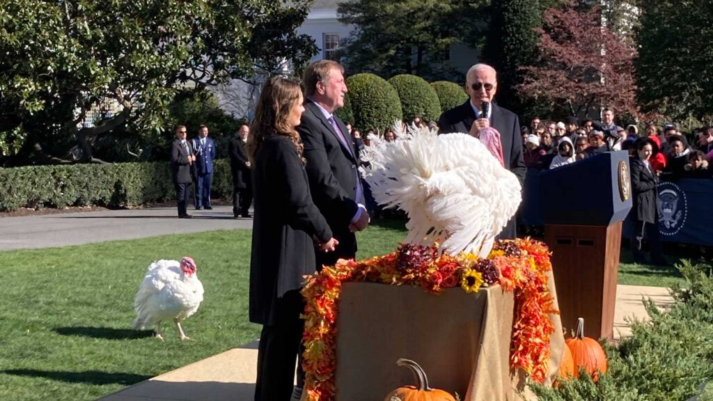 National Thanksgiving Turkey pardon event with President Biden