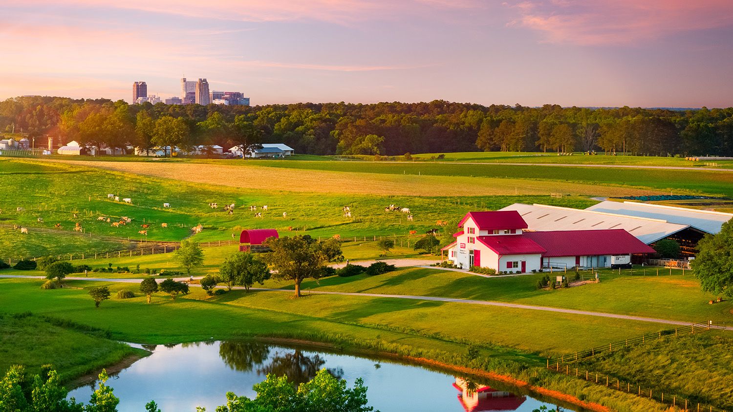 Lake Wheeler Road farm in front of downtown Raleigh