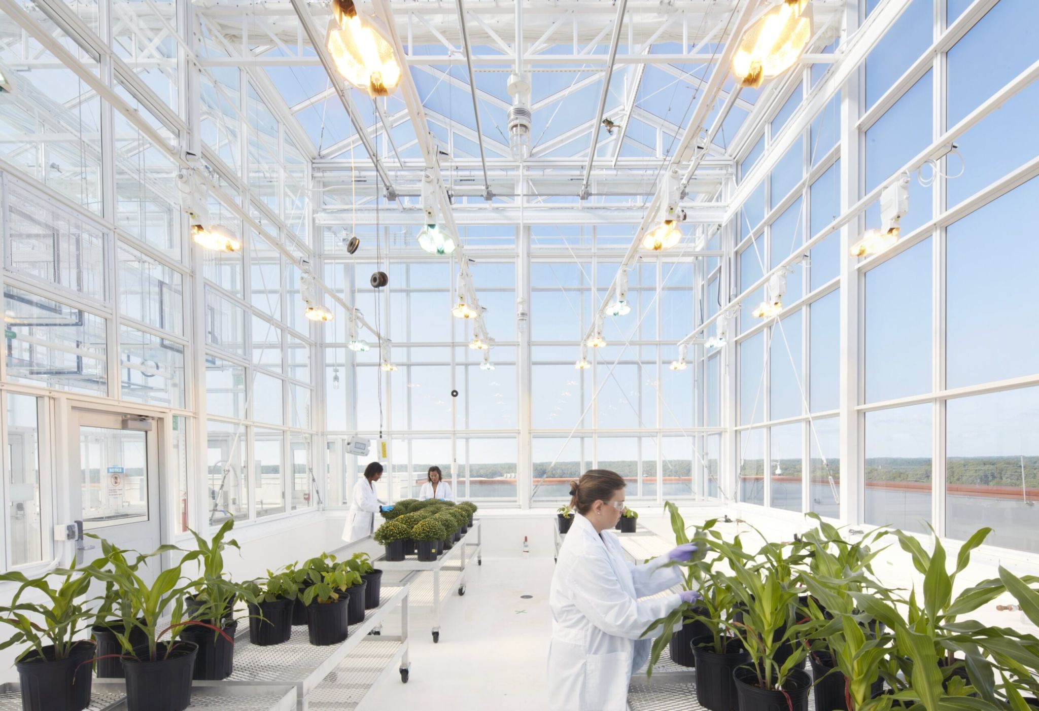 Plant Sciences Building rooftop greenhouse