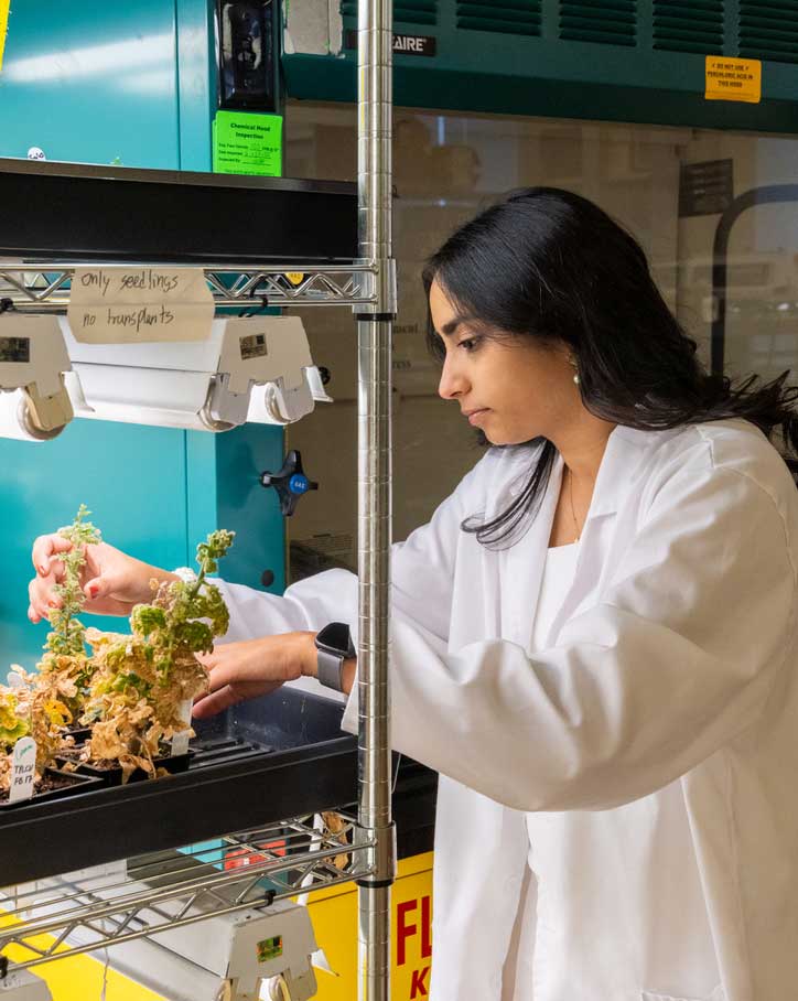 a young woman in a white lab coat in a lab