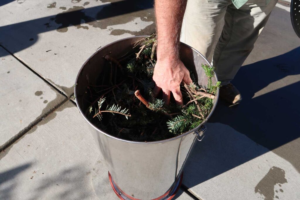 Hands placing Fraser fir branches into a larger metal container