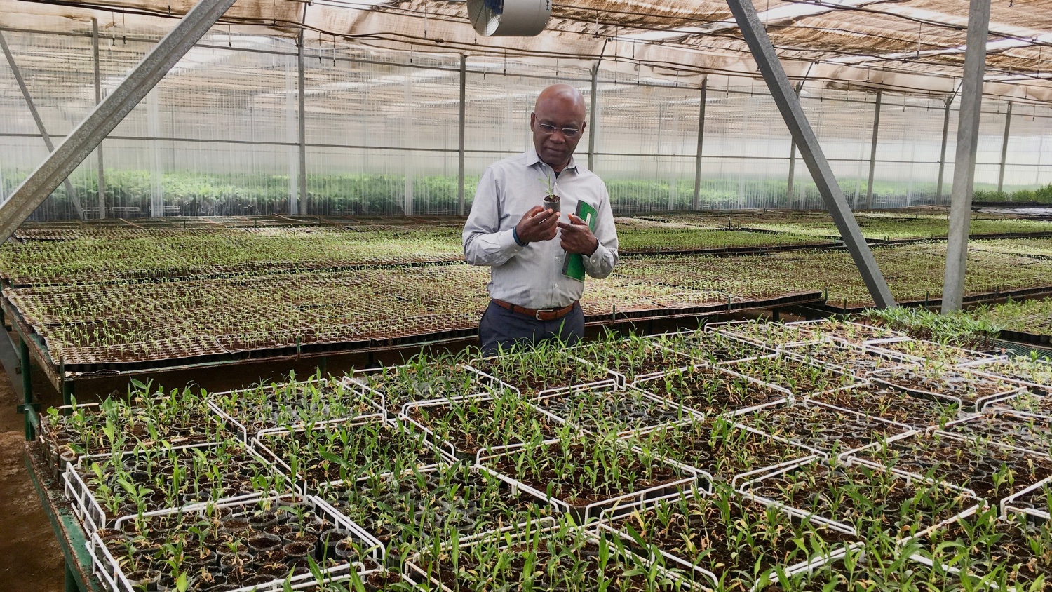 Sydney Seymour in a greenhouse at a biotech company in Ethiopia