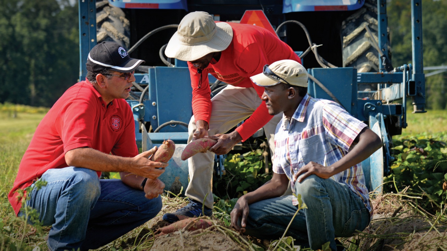 three men discussing in a field with a tractor