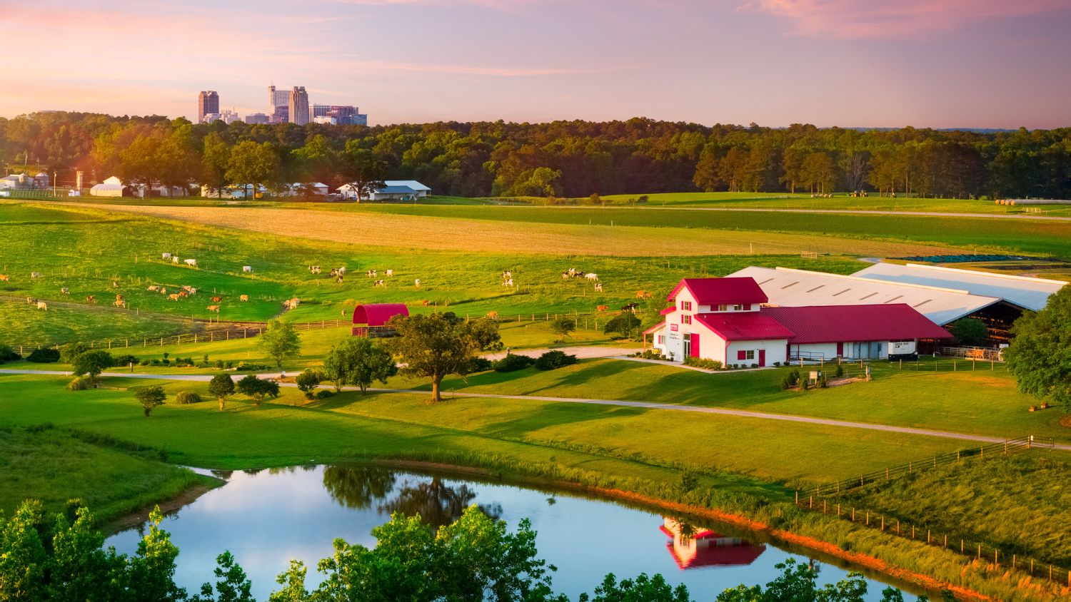 an aerial photo of the NC State Dairy Farm with the Raleigh skyline in the background