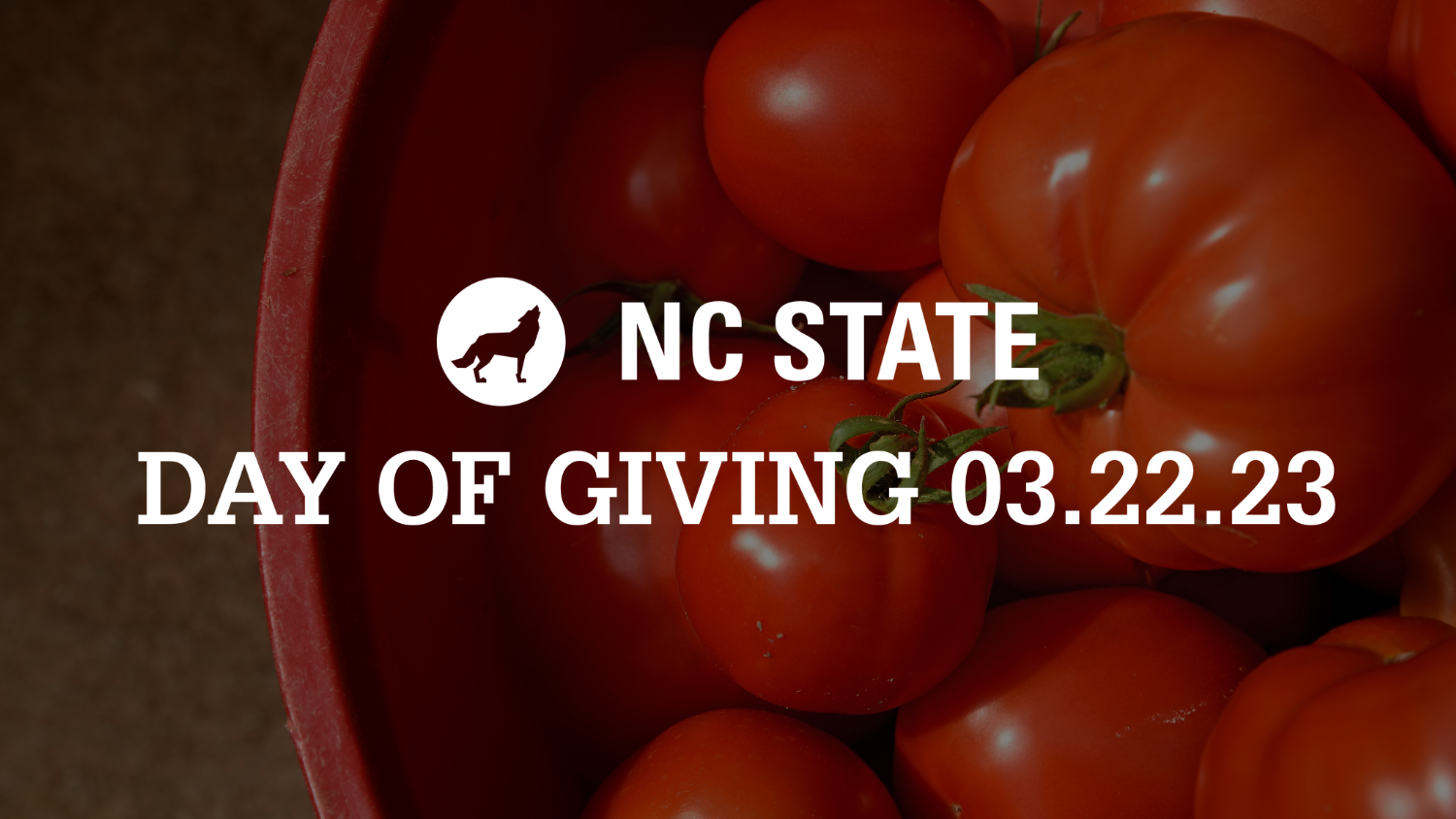 a graphic promoting NC State's Day of Giving