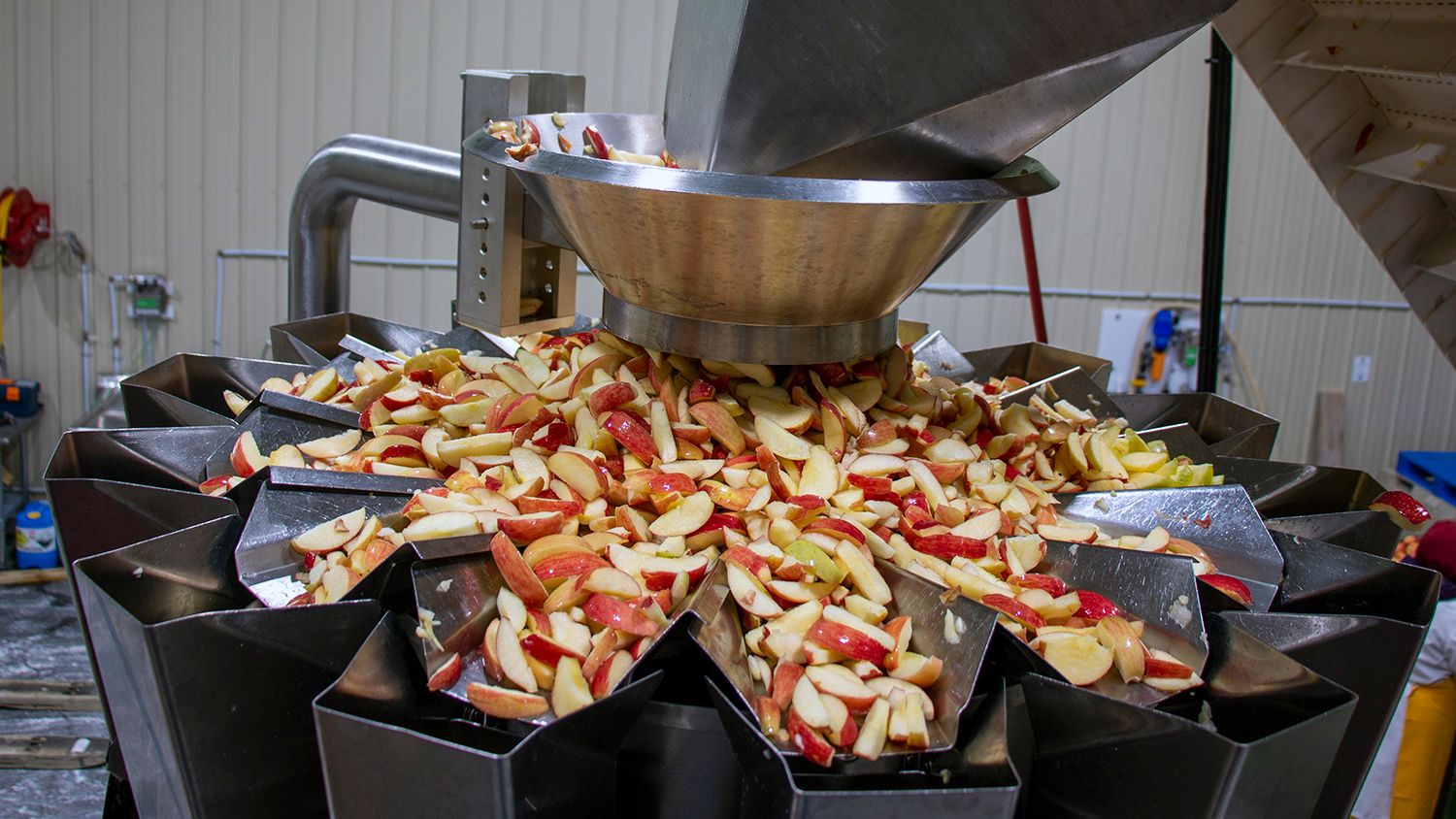 apples being sliced by a machine