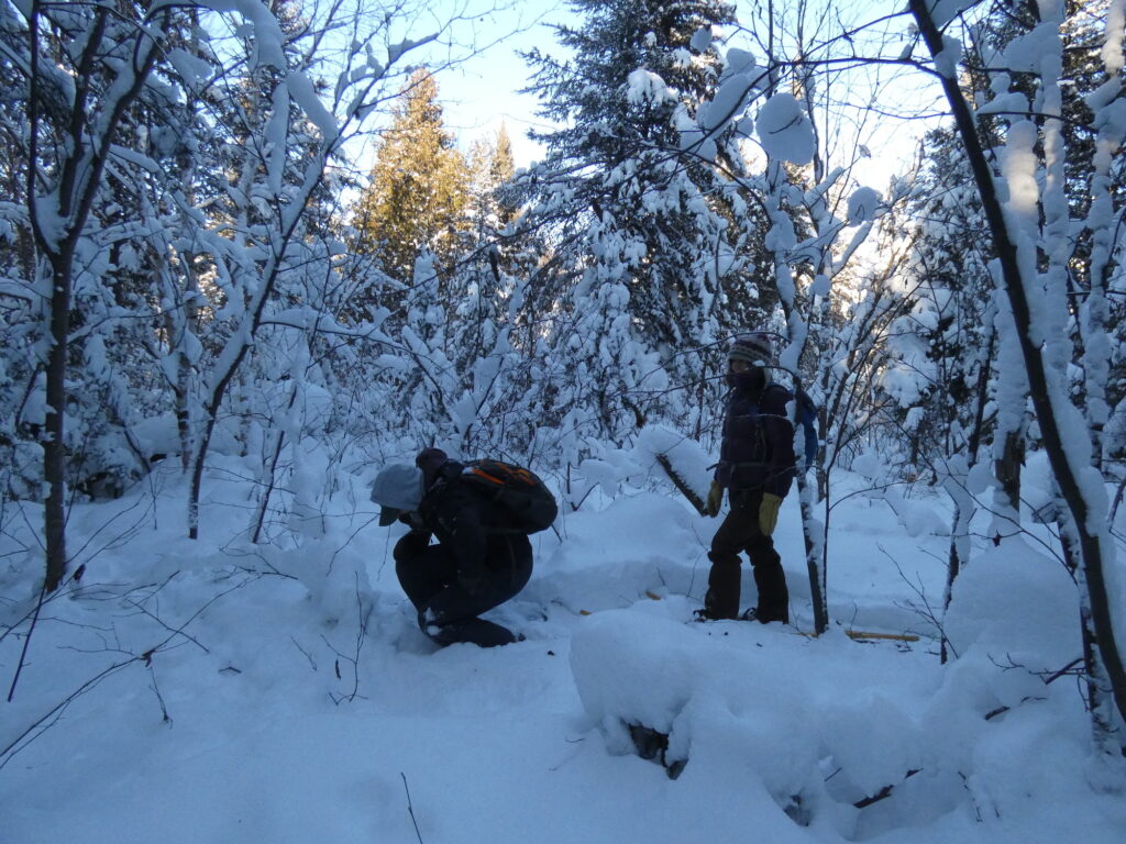 two people in snow