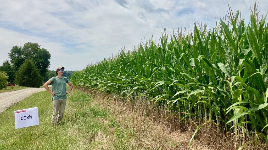 Duncan McSorley in a field