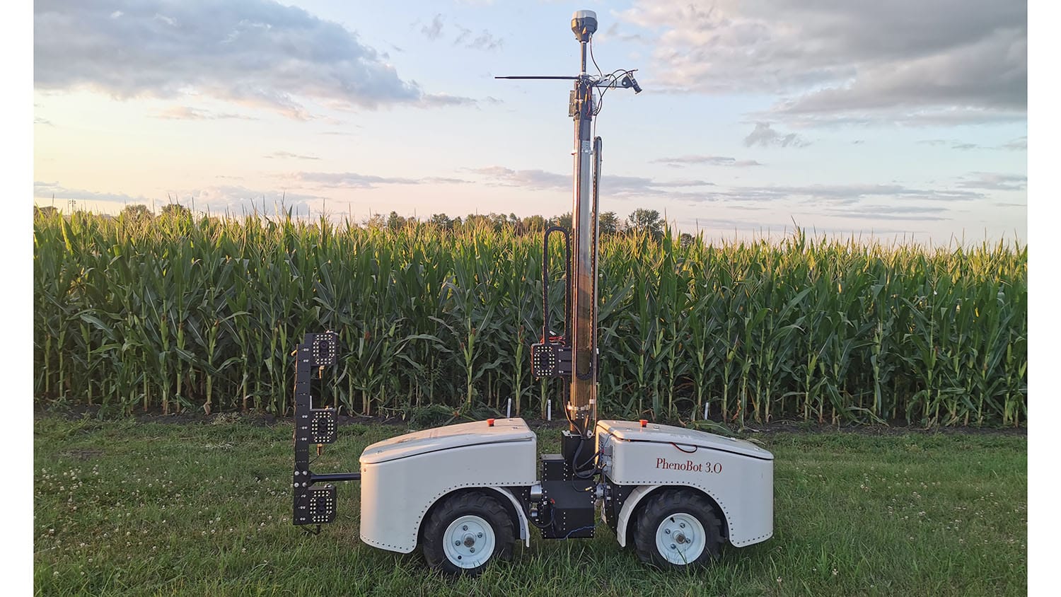 a robot developed by NC State researchers in a corn field