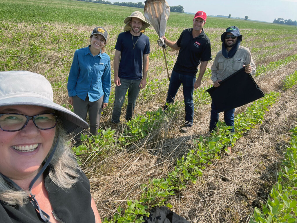 Carolyn Young with a team collecting insects in a soybean field