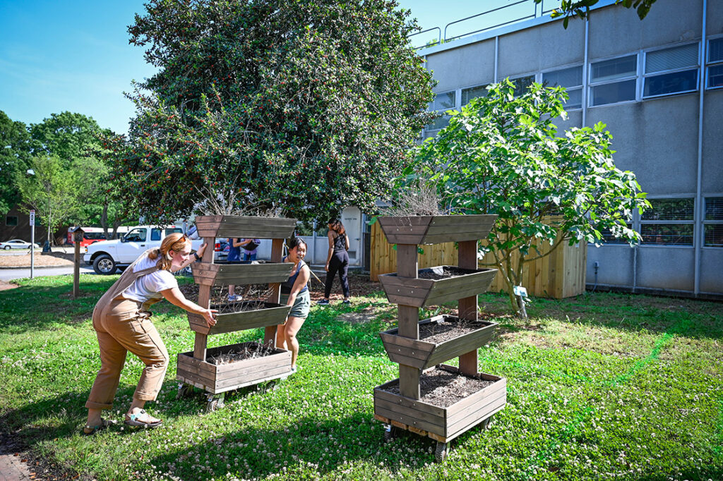 Students moving vertical planters