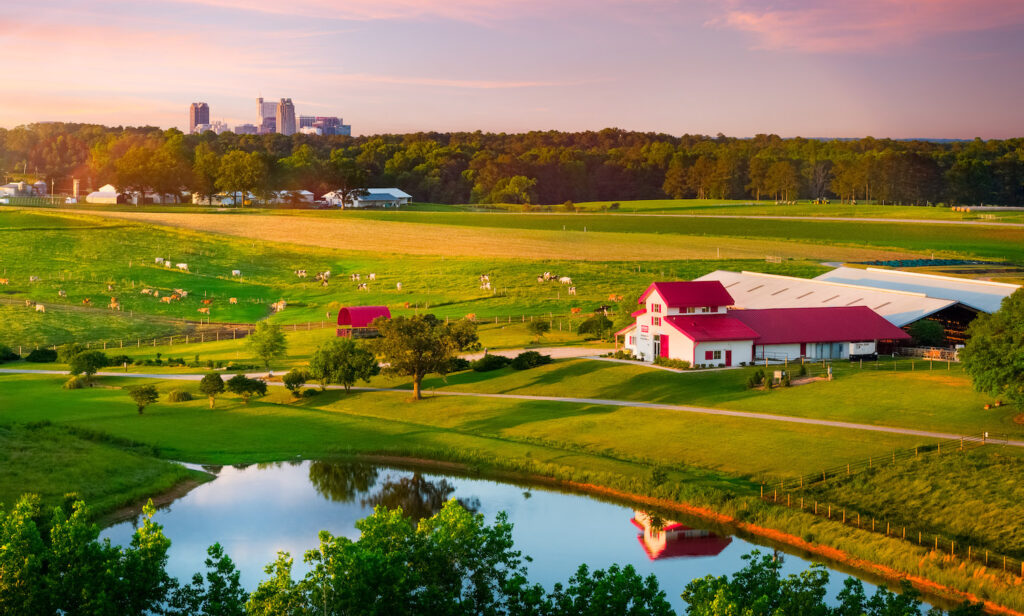 Aerial shot of NC State Dairy Farm.