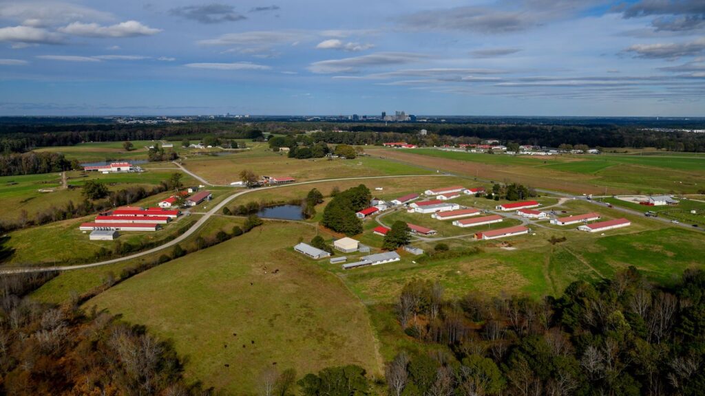 a drone photo of NC State's Lake Wheeler Field Laboratory
