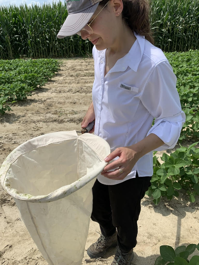 Taynara Possebom holding a net with stink bugs