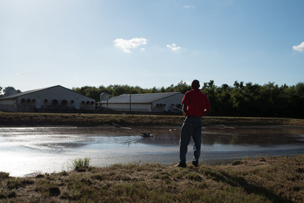 Man overlooking a hog lagoon