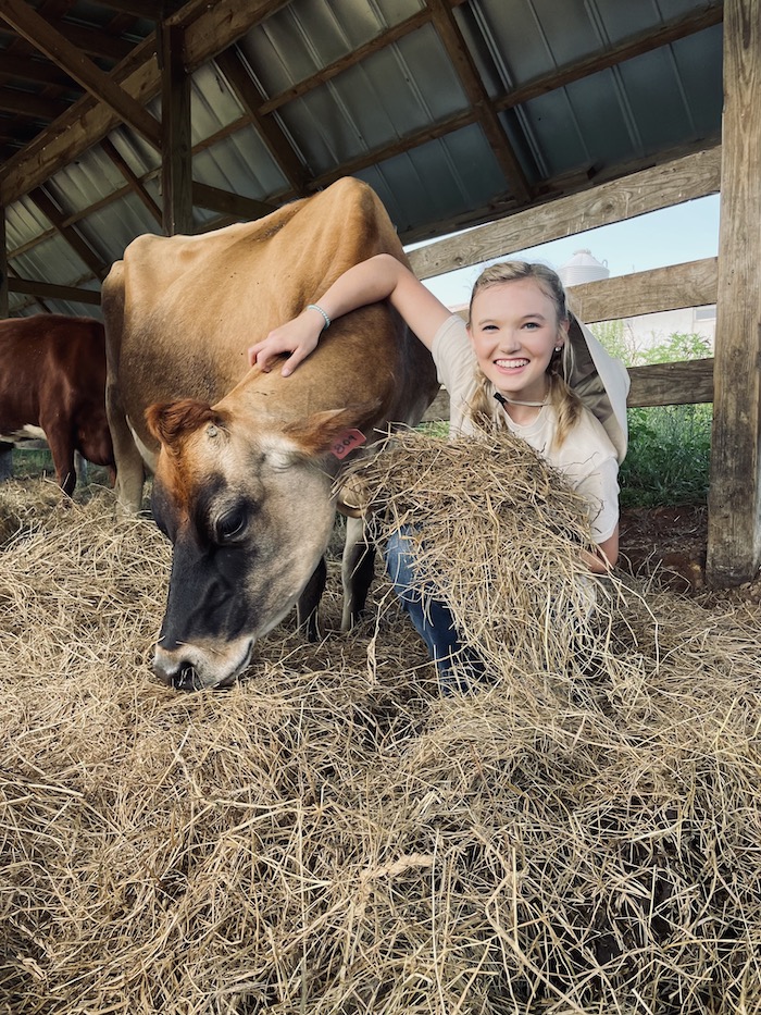 Animal science student Ashlyn Ramsey with a cow at her internship