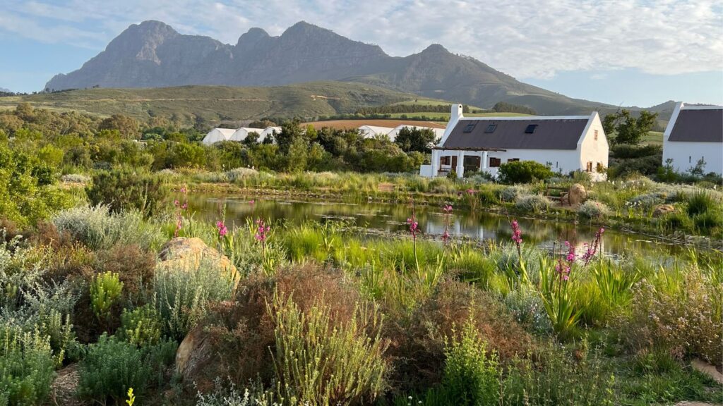 a farm in South Africa