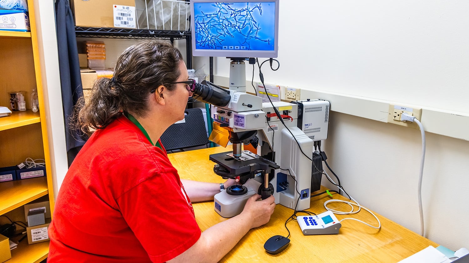 a researcher wearing a red shirt looking into a microscope