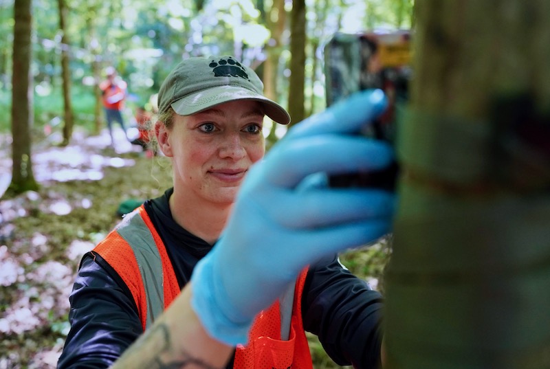 a researcher setting up a camera trap in the woods