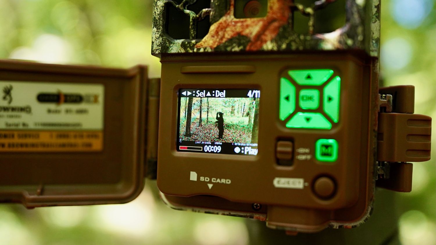 a camera trap picture of a black bear