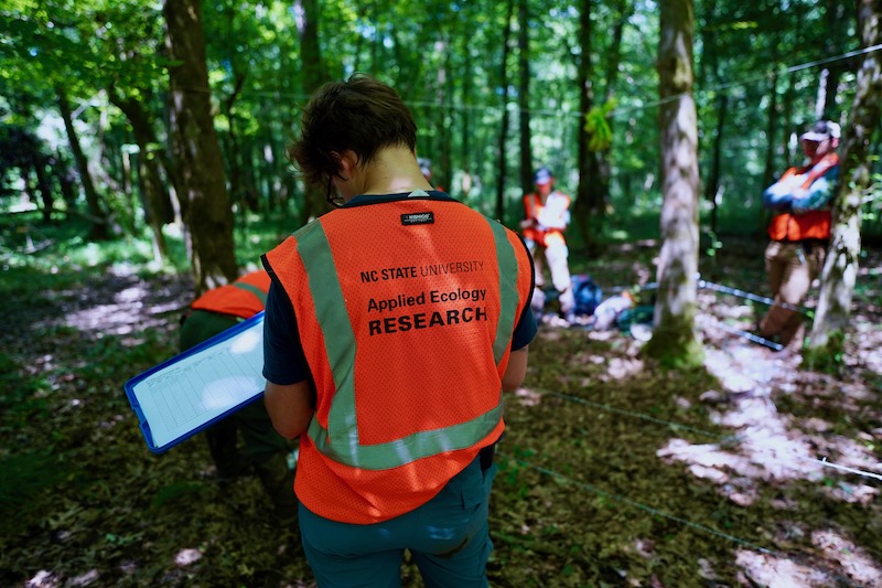 student researchers set up research project in forest