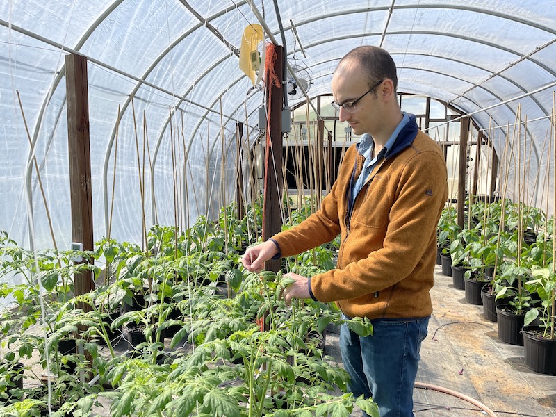 Cole Smith in a greenhouse with crops