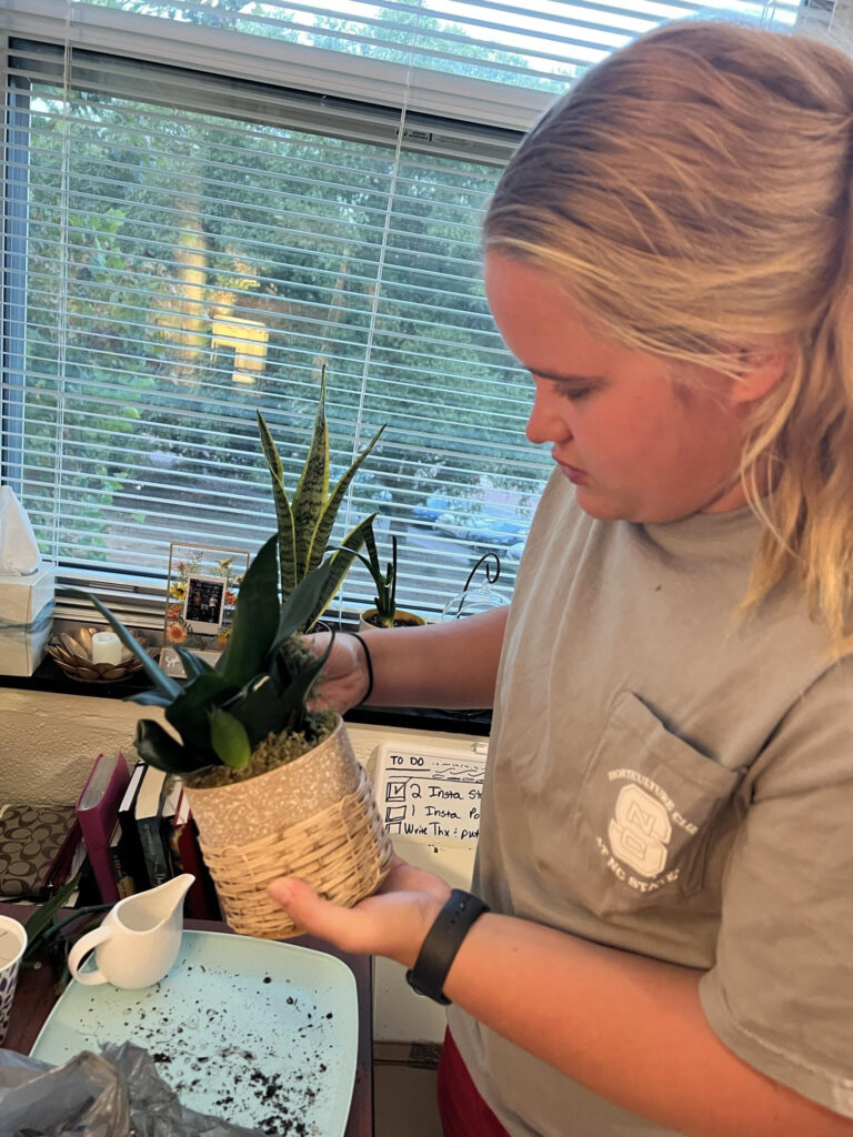 Madeline Kluttz repotting a plant from a home improvement store