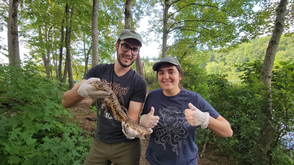 A Parasitic Haunting: When Snakes are Eaten From Within - College of  Agriculture and Life Sciences