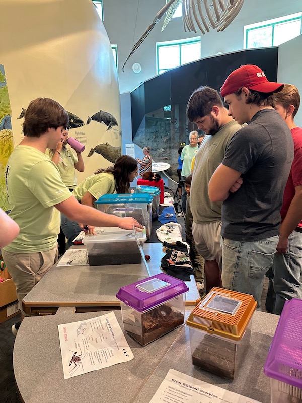 volunteers talking to the public about bugs at a museum