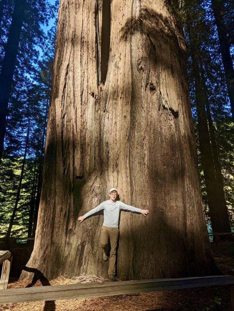 Young man standing at the base of a redwood tree.